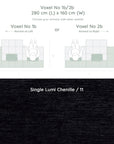 Voxel