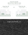 Voxel