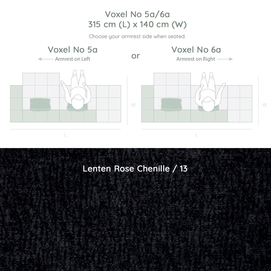 Voxel