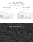 Voxel